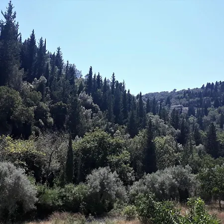 Apartment Nuria
